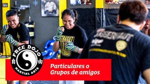 clases particulares de artes marciales en Lugo