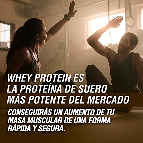 Whey-Protein-Proteina-whey-pura-con-colageno-magnesio-Tonifica-y-aumenta-la-masa-muscular-Protege-musculos-y-ayuda-a-la-recuperacion-de-los-tejidos-fibrosos-1000g-de-proteina-sabor-chocolate-0-0