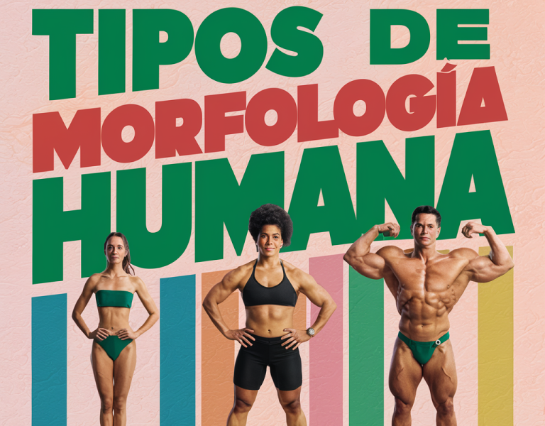La Diversidad de la Morfología Humana