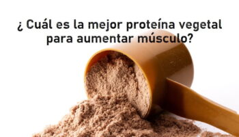 ¿ Cuál es la mejor proteina vegetal para aumentar musculo ?