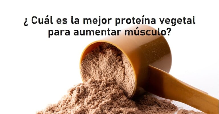 ¿ Cuál es la mejor proteina vegetal para aumentar musculo ?