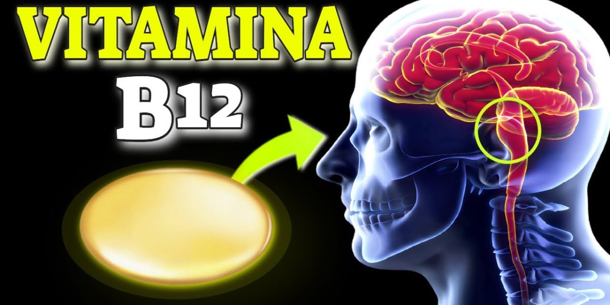 ¿Porque debo consumir la vitamina B12?